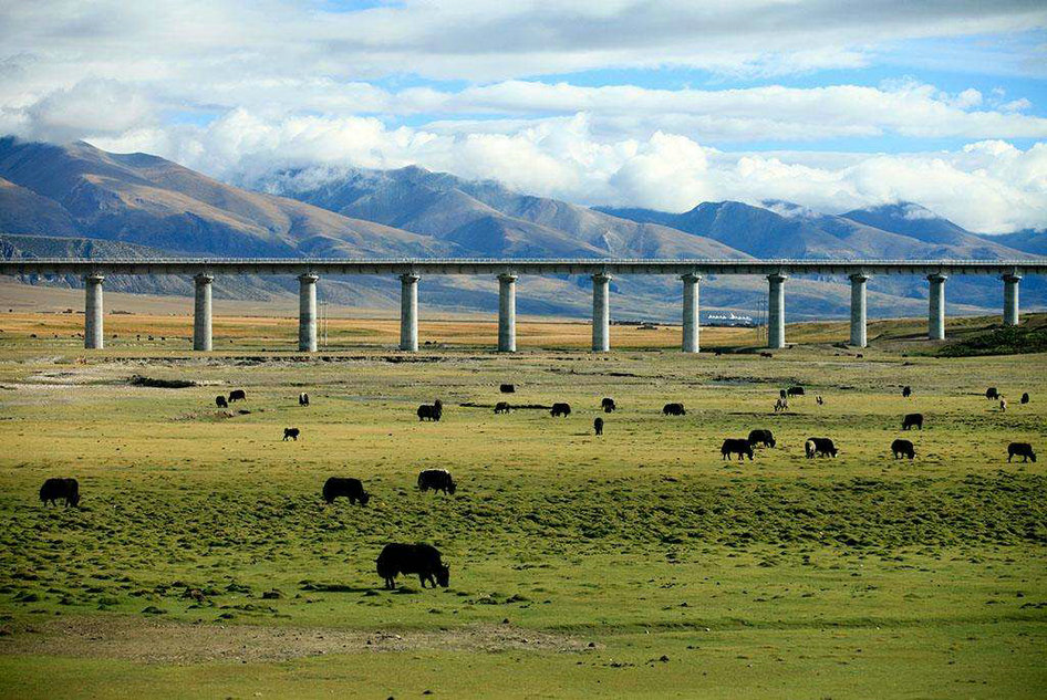 青藏铁路2.jpg