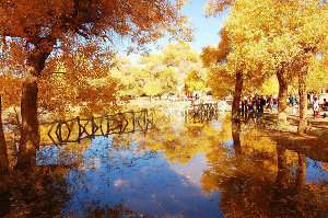 国庆落地自驾：库布齐沙漠、额济纳旗胡杨林、呼和浩特七天落地自驾游