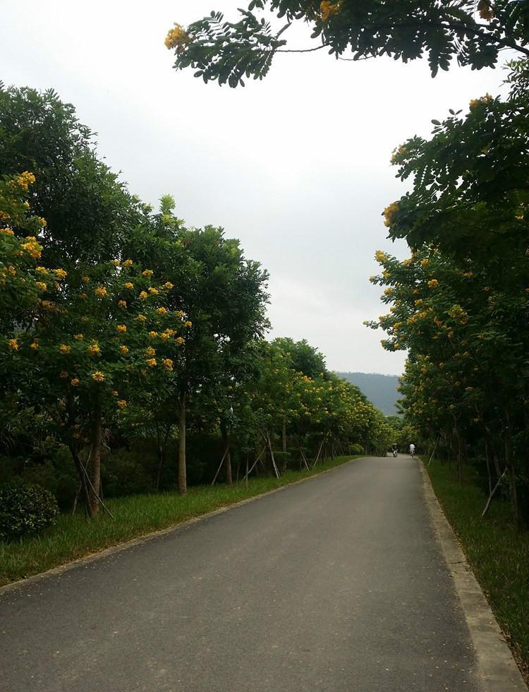 单车2.jpg 单车2.jpg