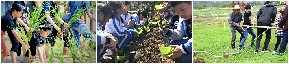 图片1插秧.jpg 图片1插秧.jpg