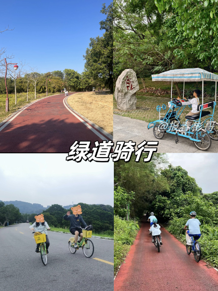 11踩单车_副本.jpg 11踩单车_副本.jpg